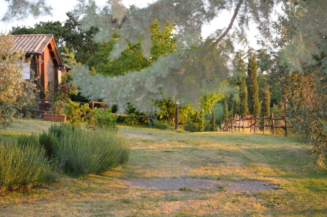 Podere Delle Rose Torre San Severo Εξωτερικό φωτογραφία