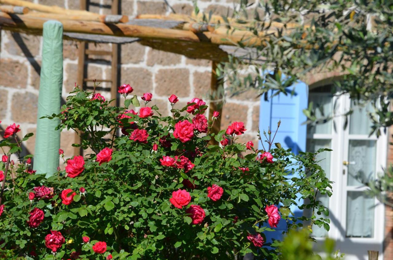 Podere Delle Rose Torre San Severo Εξωτερικό φωτογραφία