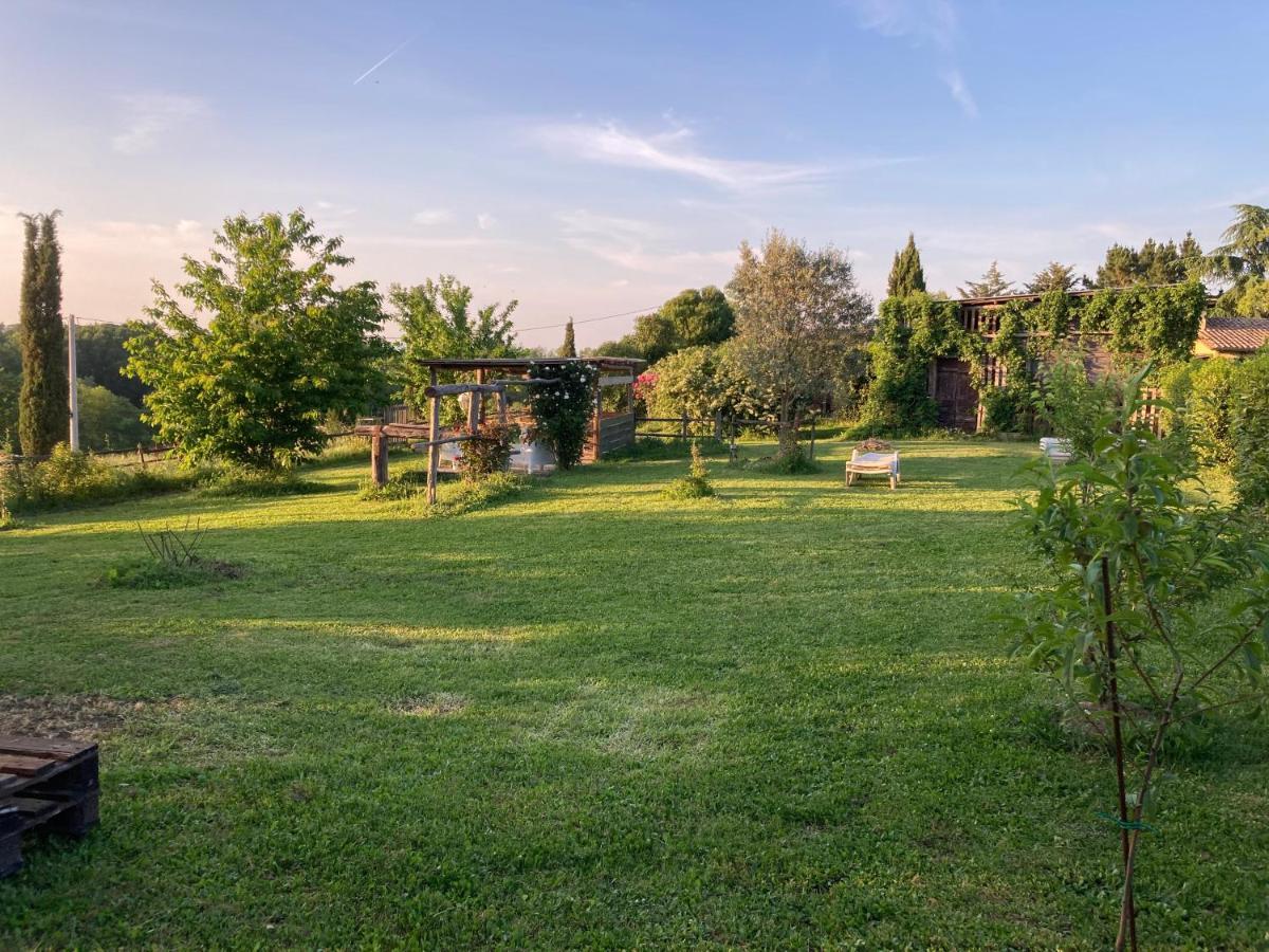 Podere Delle Rose Torre San Severo Εξωτερικό φωτογραφία
