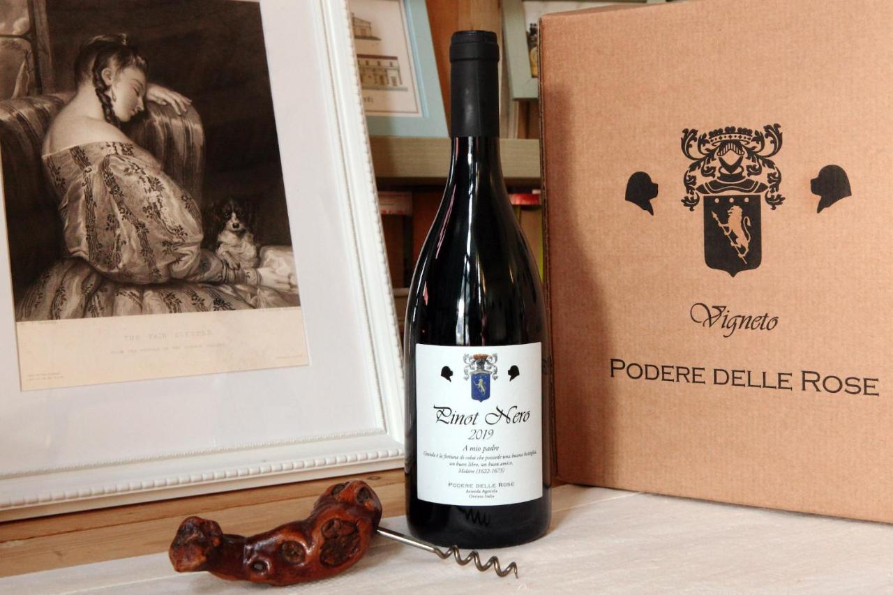 Podere Delle Rose Torre San Severo Εξωτερικό φωτογραφία