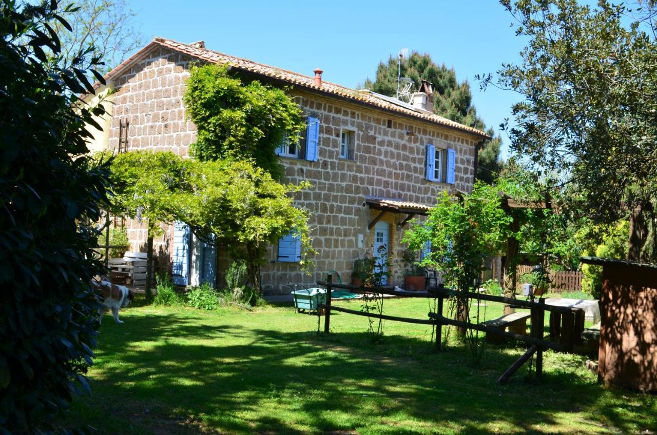Podere Delle Rose Torre San Severo Εξωτερικό φωτογραφία
