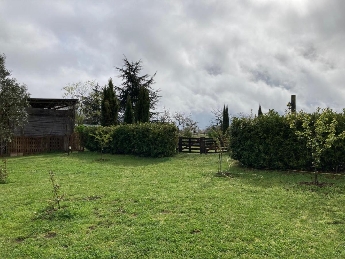 Podere Delle Rose Torre San Severo Εξωτερικό φωτογραφία
