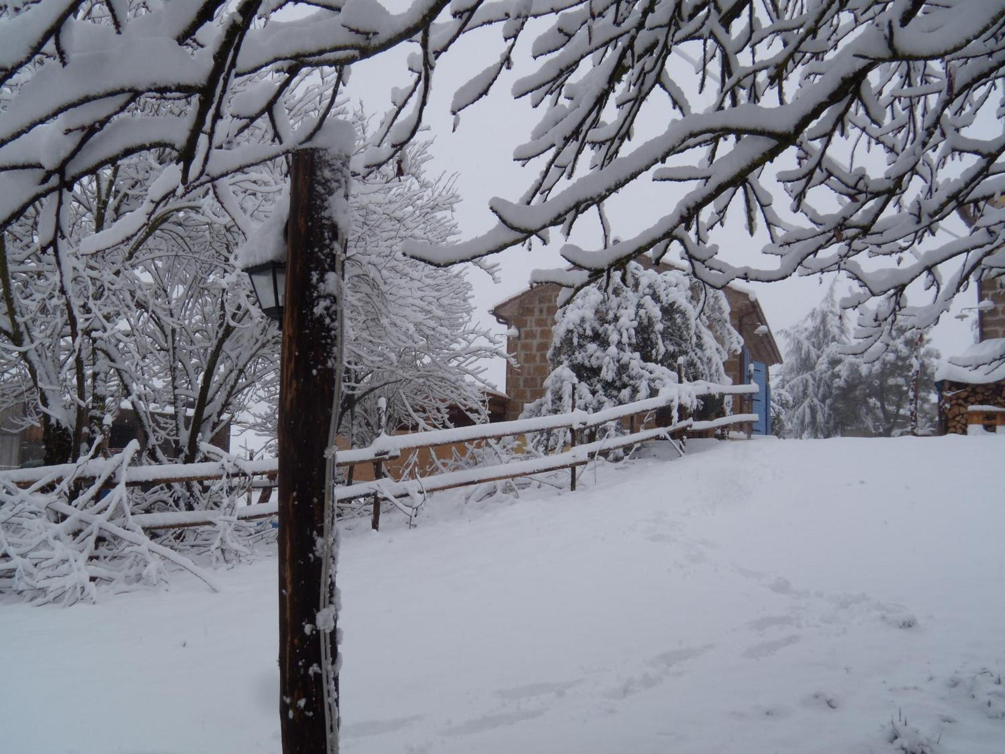 Podere Delle Rose Torre San Severo Εξωτερικό φωτογραφία