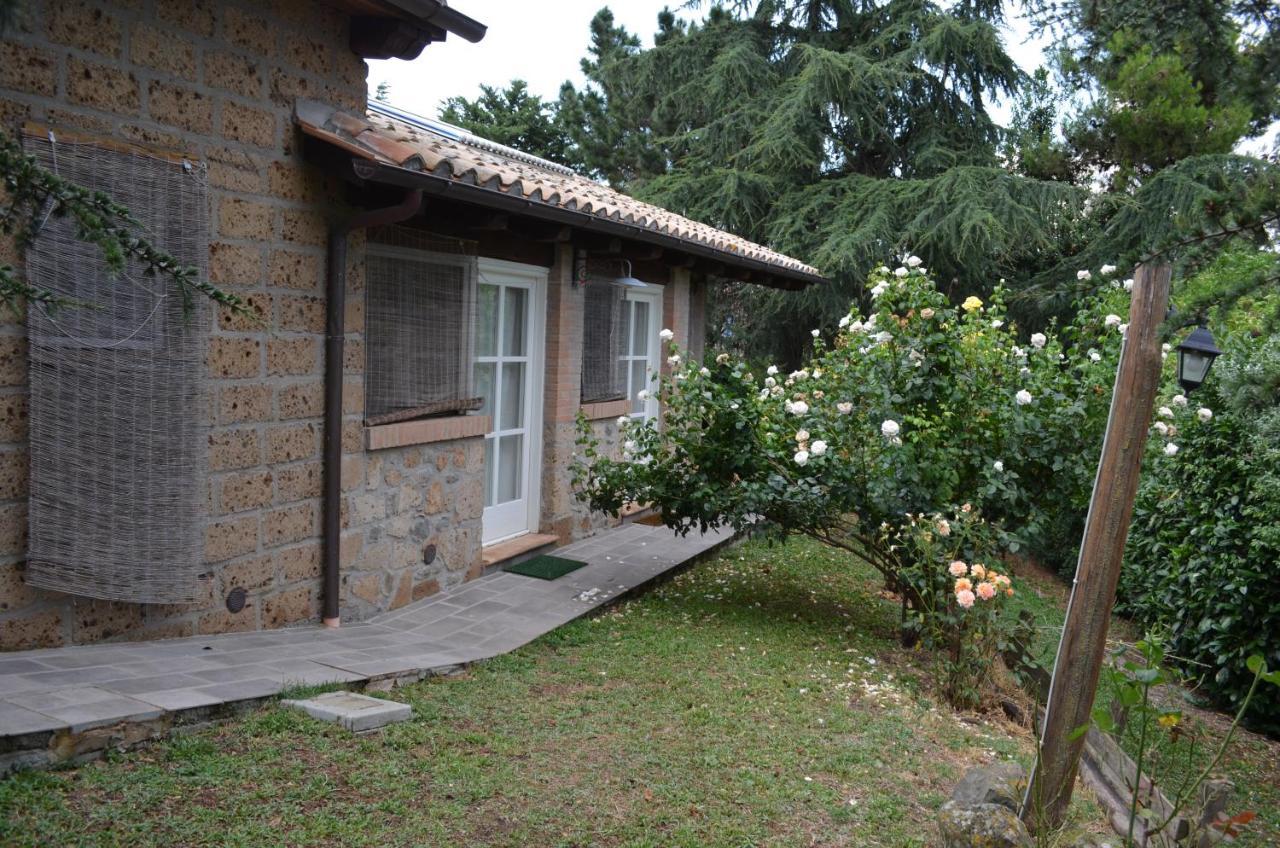 Podere Delle Rose Torre San Severo Εξωτερικό φωτογραφία